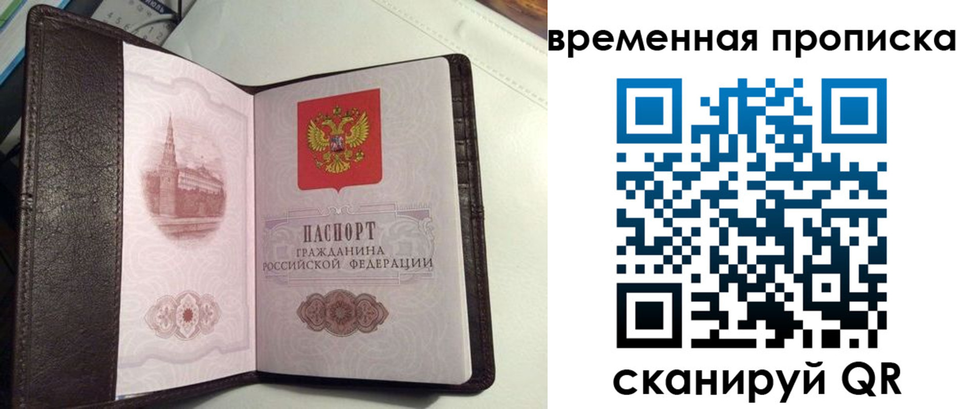 прописка 2025 в Волгоградской области